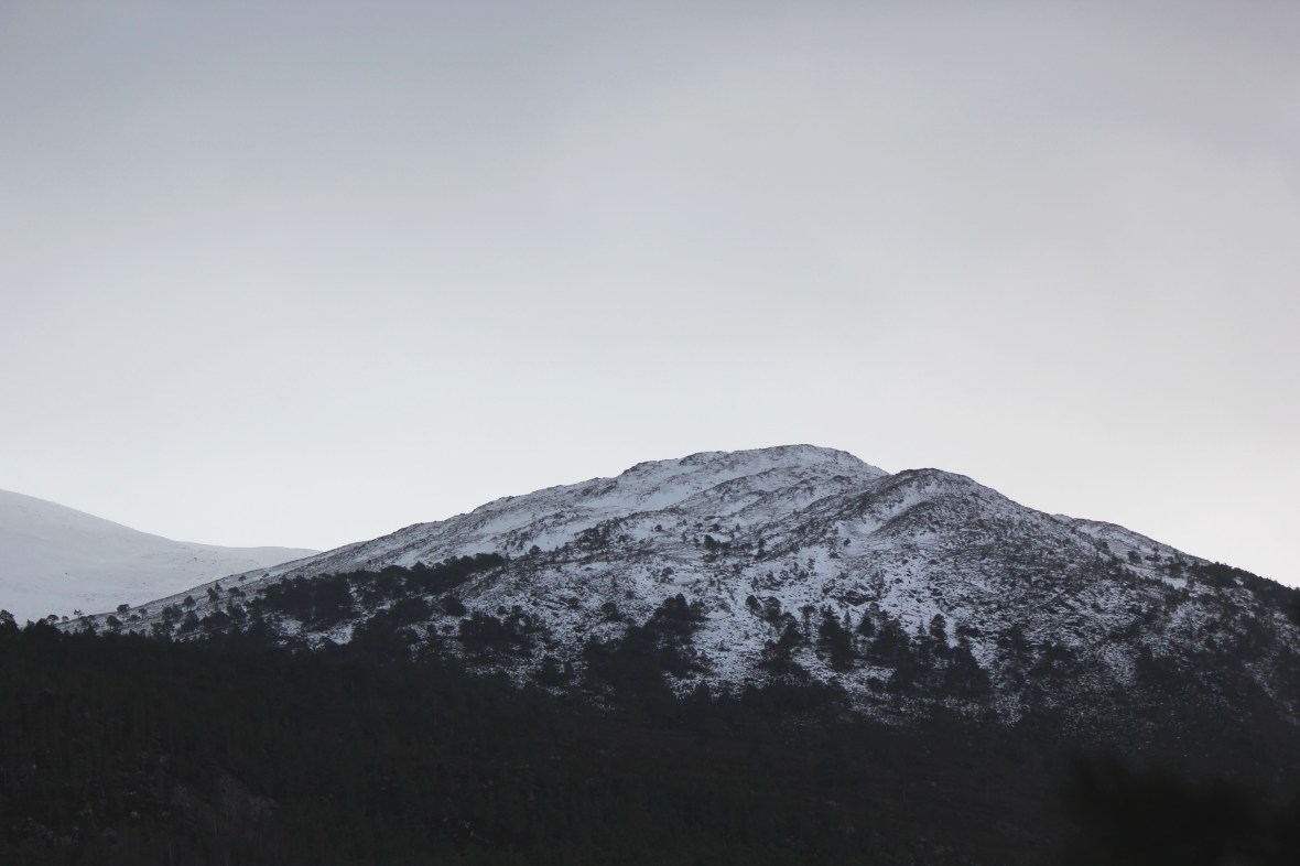 Inshriach #© Ellis O'Connor