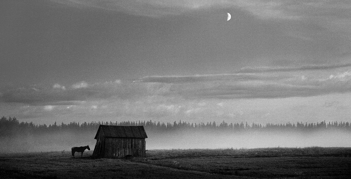 アート・デザイン・音楽 here far away / pentti sammallahti Amazon