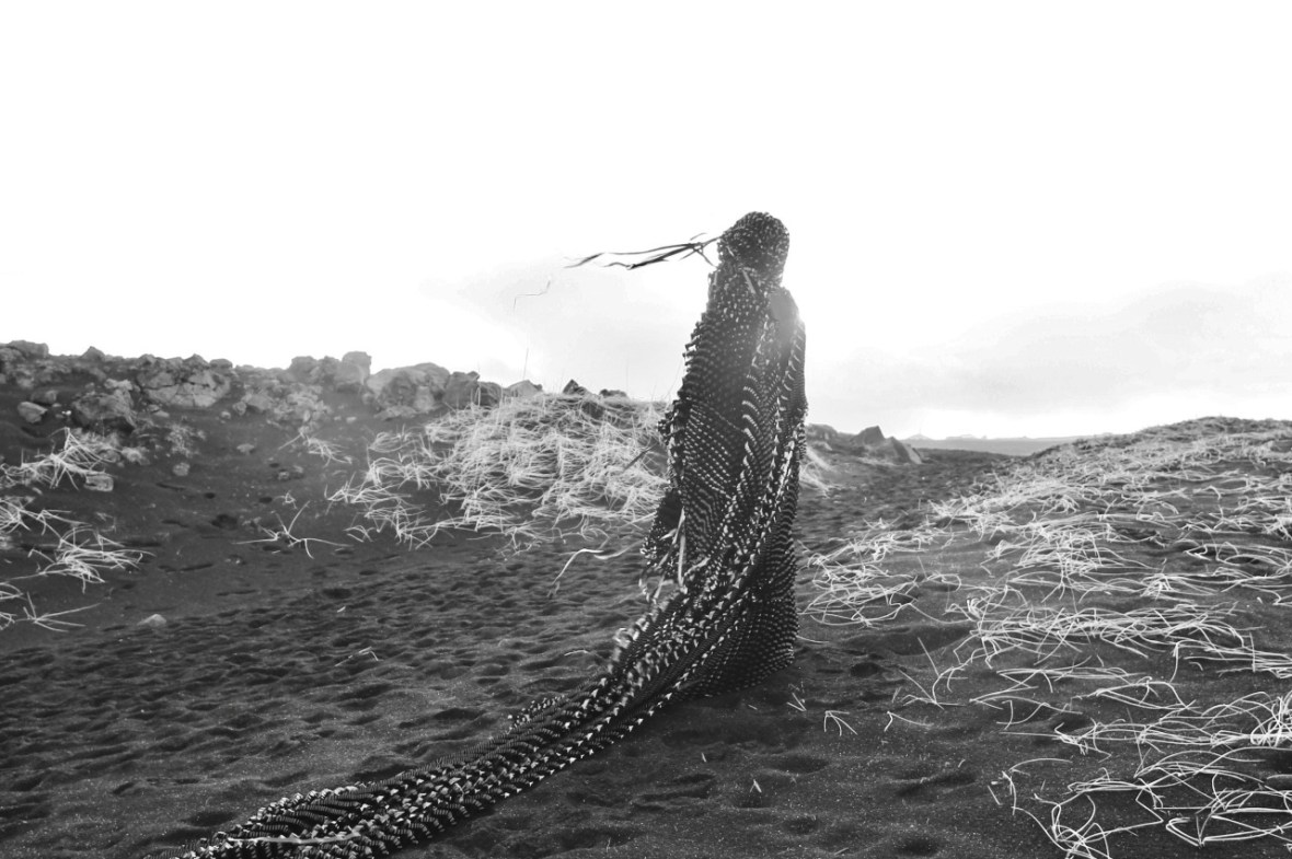 Thousands of Njords Feathers © Philip Ob Rey / Mailie Viney