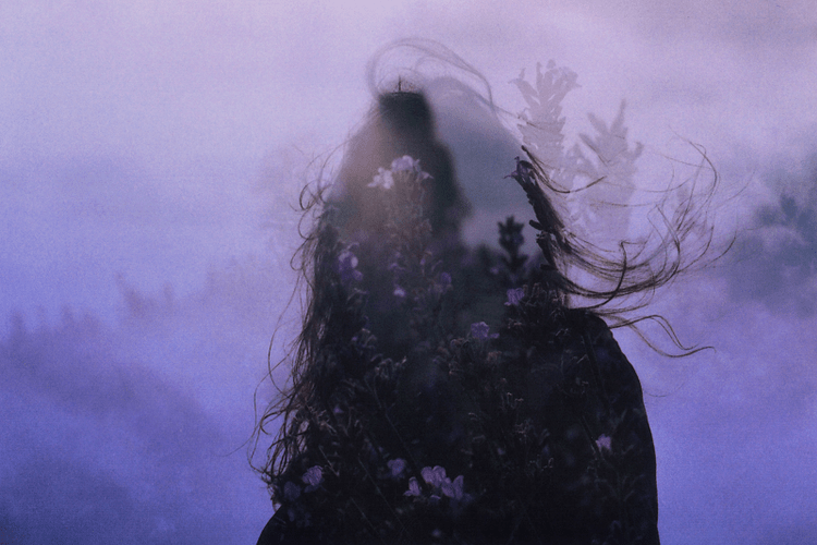 Summer Fields, June-July 2017 #3 © Maya Beano